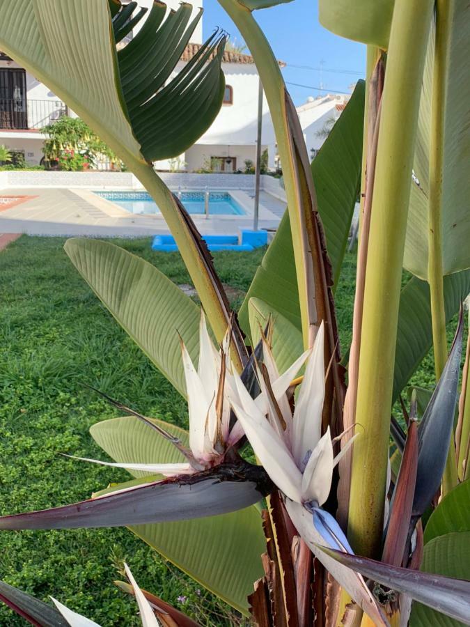 Casa Maria Villa Nerja Dış mekan fotoğraf
